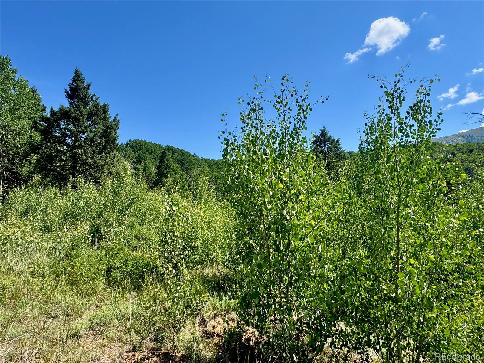 Lot 5850 Richardson Road Fort Garland CO 81152