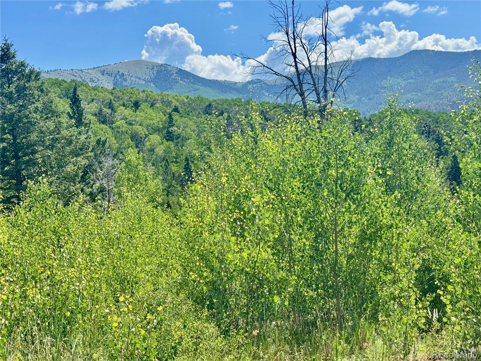 Lot 5850 Richardson Road Fort Garland CO 81152