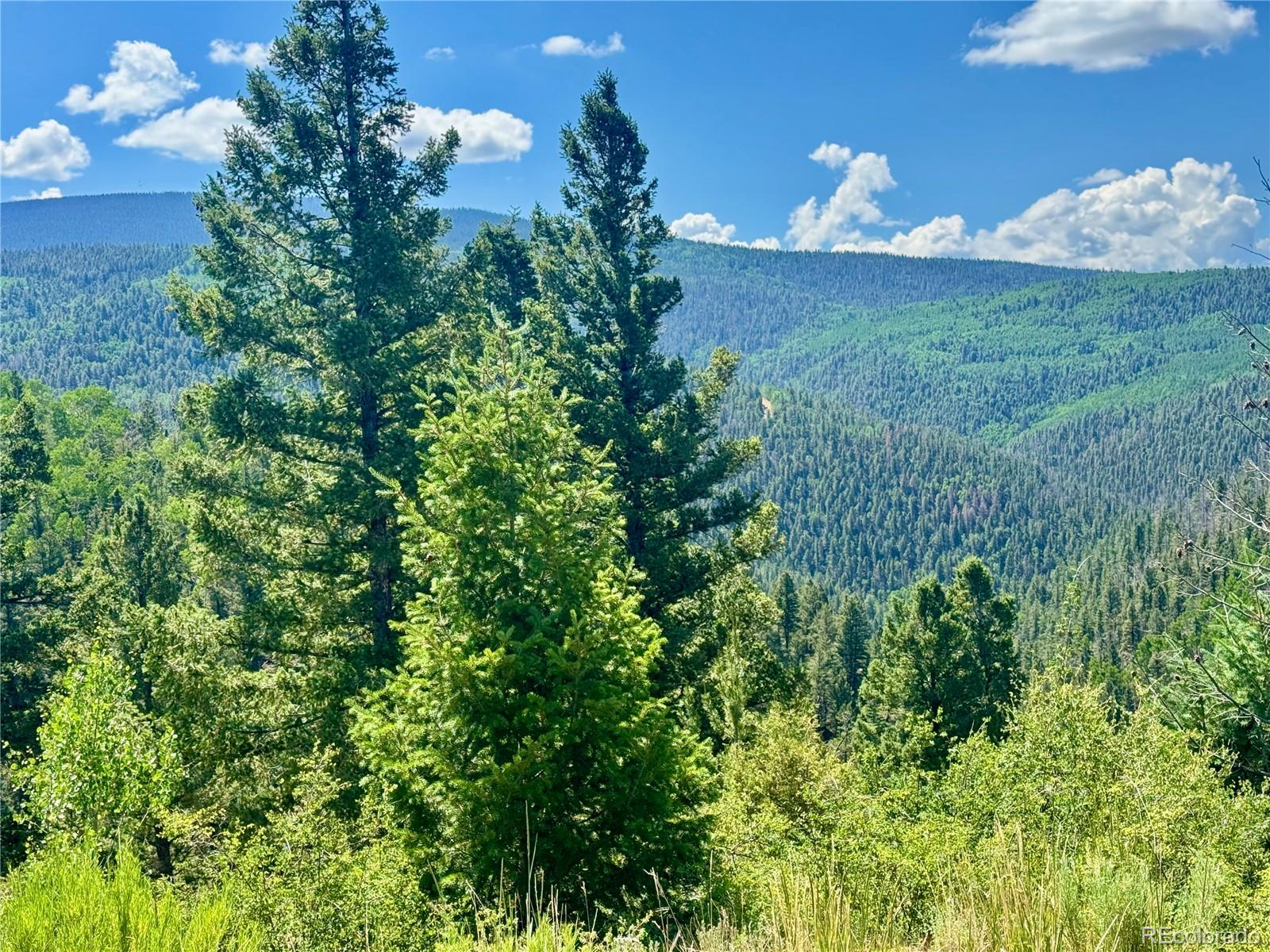 Lot 5850 Richardson Road Fort Garland CO 81152
