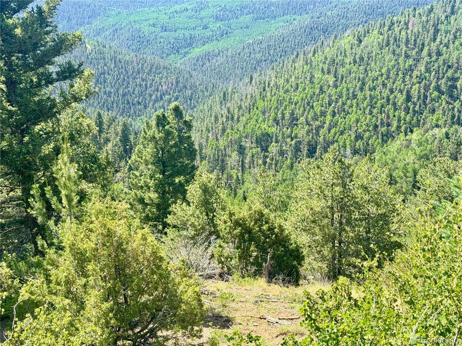 Lot 5850 Richardson Road Fort Garland CO 81152