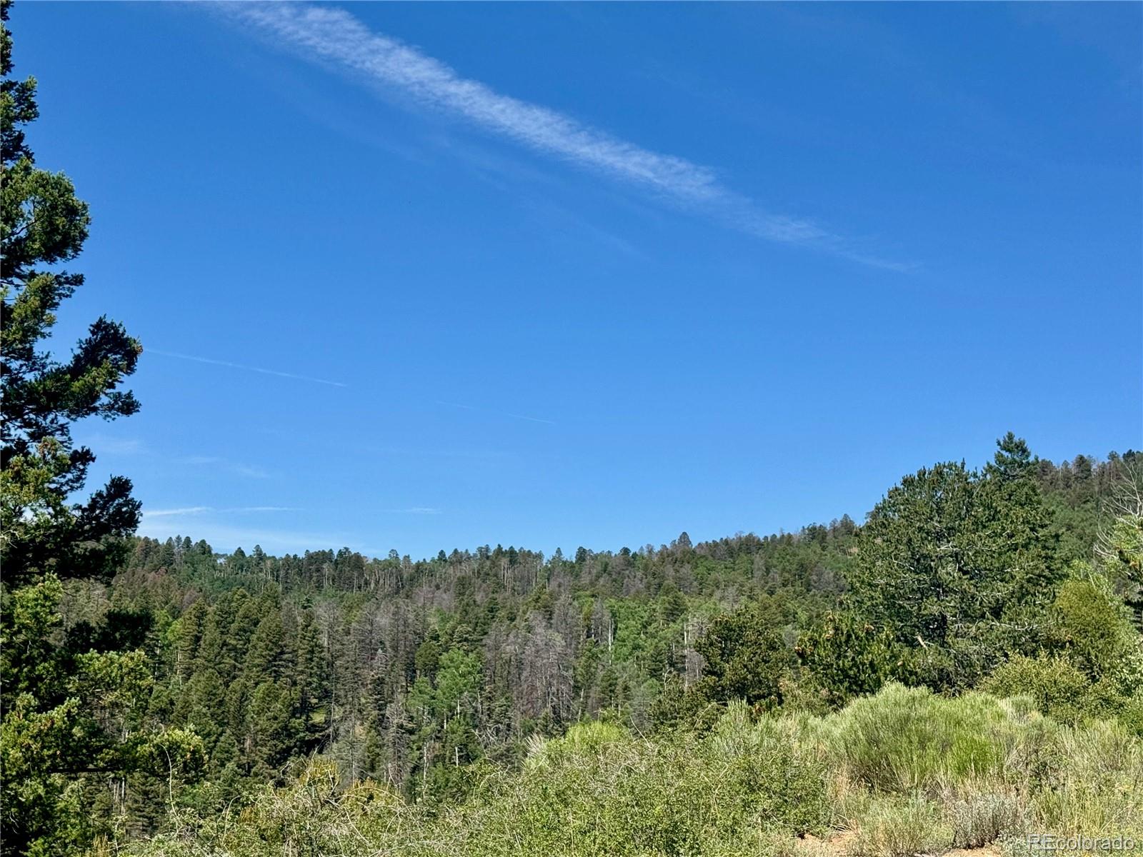 Lot 5850 Richardson Road Fort Garland CO 81152