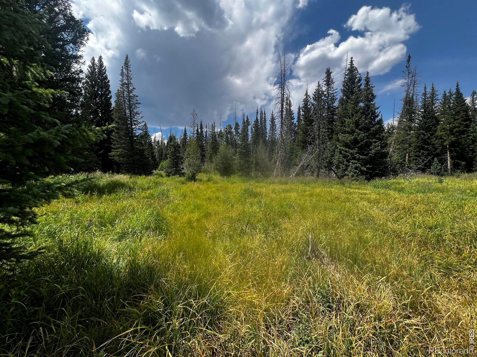 Red Feather Lakes CO 80545