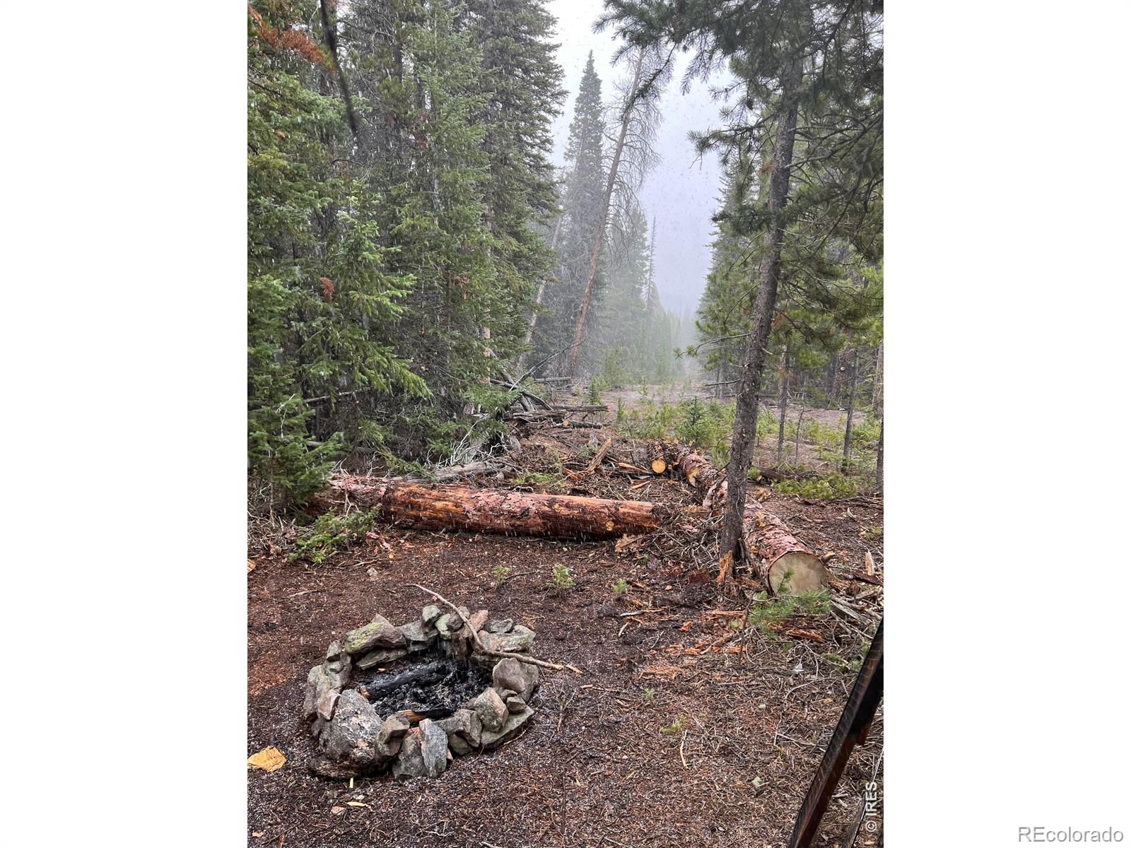 Red Feather Lakes CO 80545