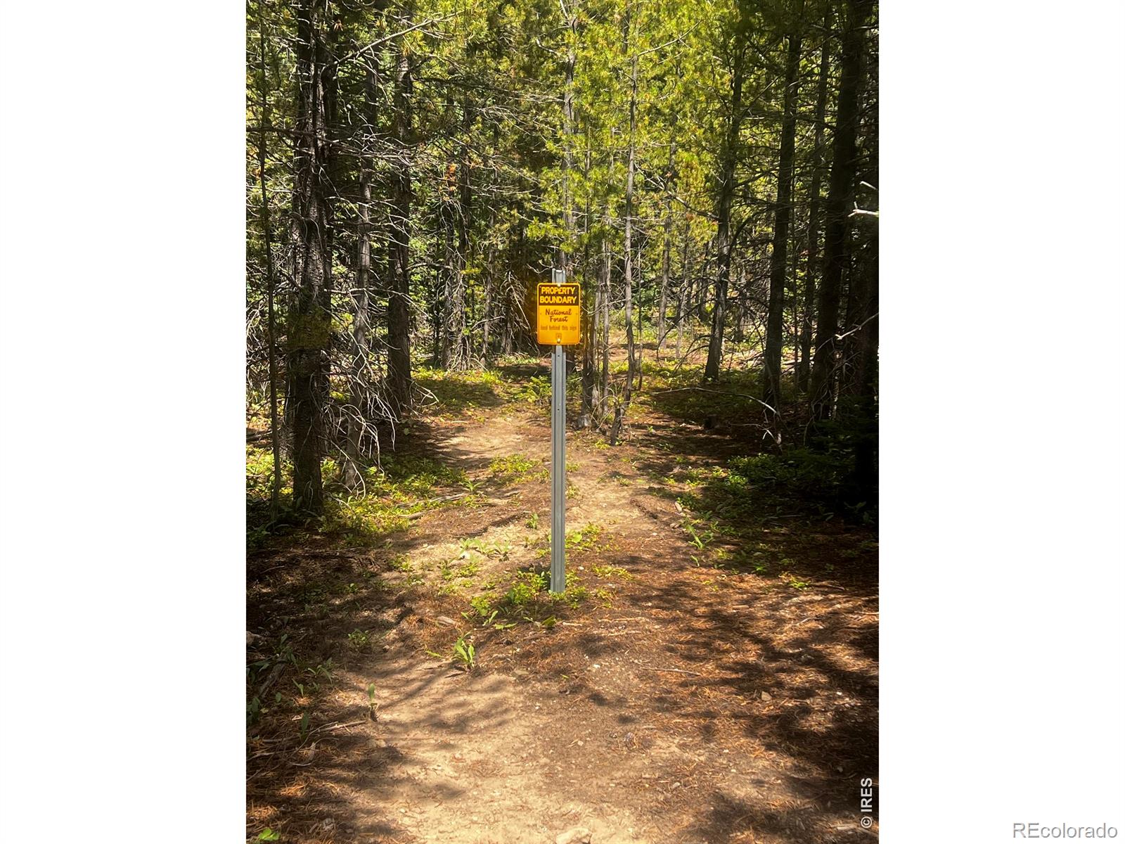Red Feather Lakes CO 80545