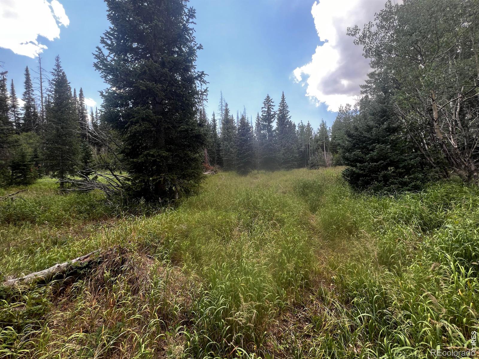 Red Feather Lakes CO 80545