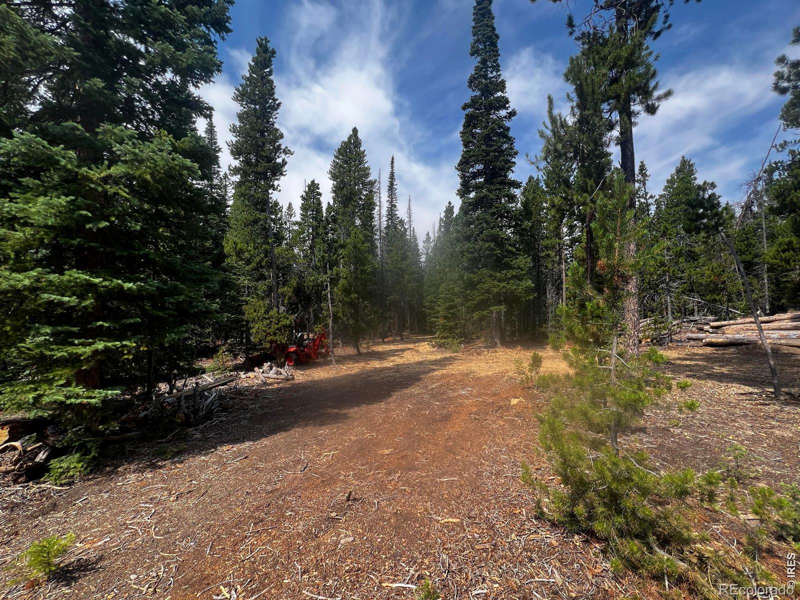 Red Feather Lakes CO 80545
