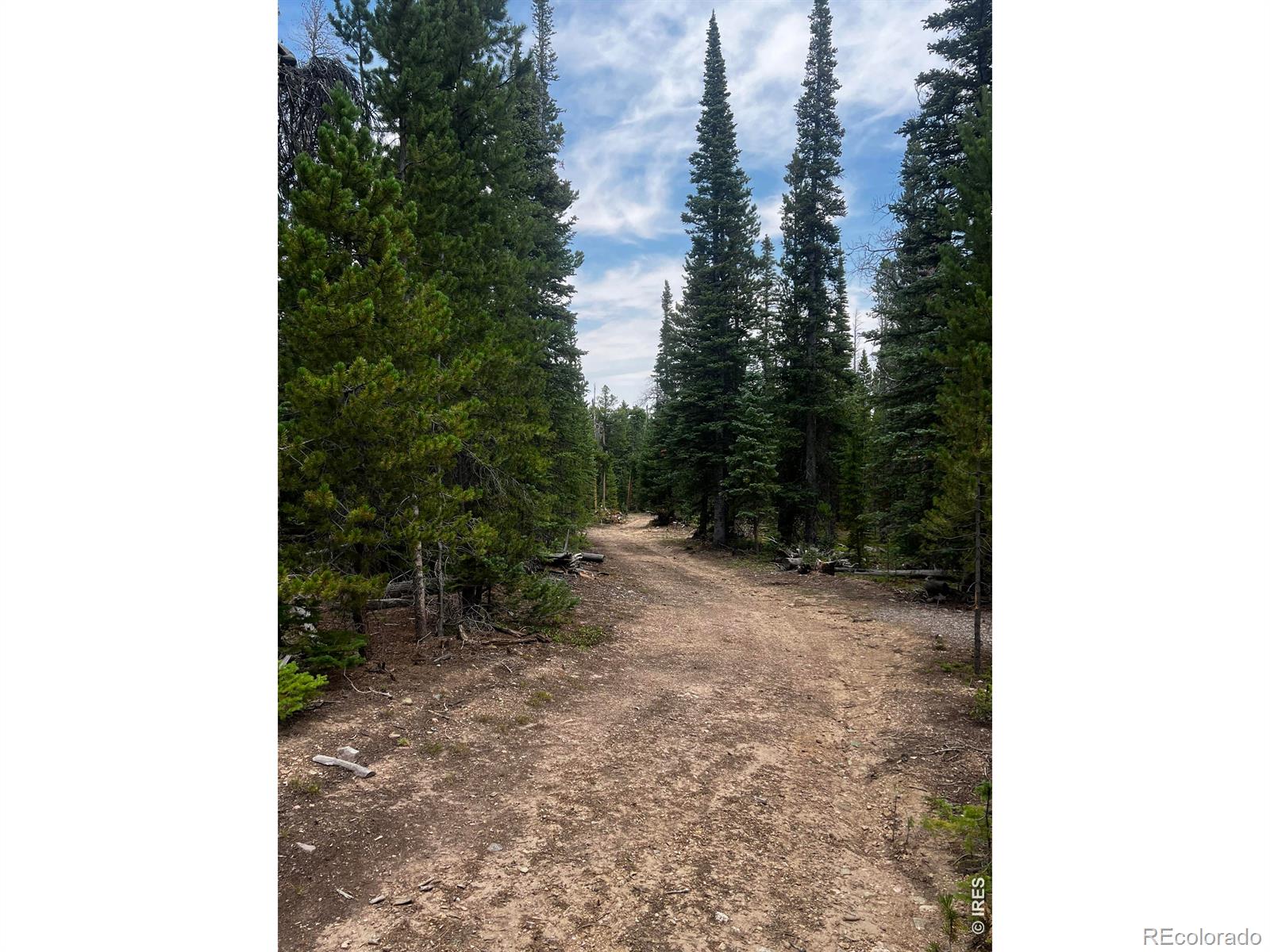 Red Feather Lakes CO 80545