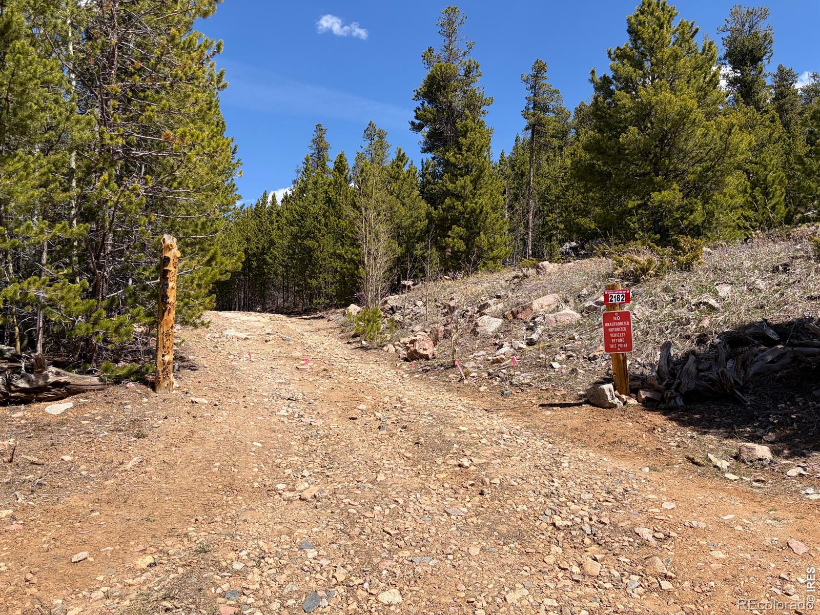 0 Bear Gulch Road Red Feather Lakes CO 80545