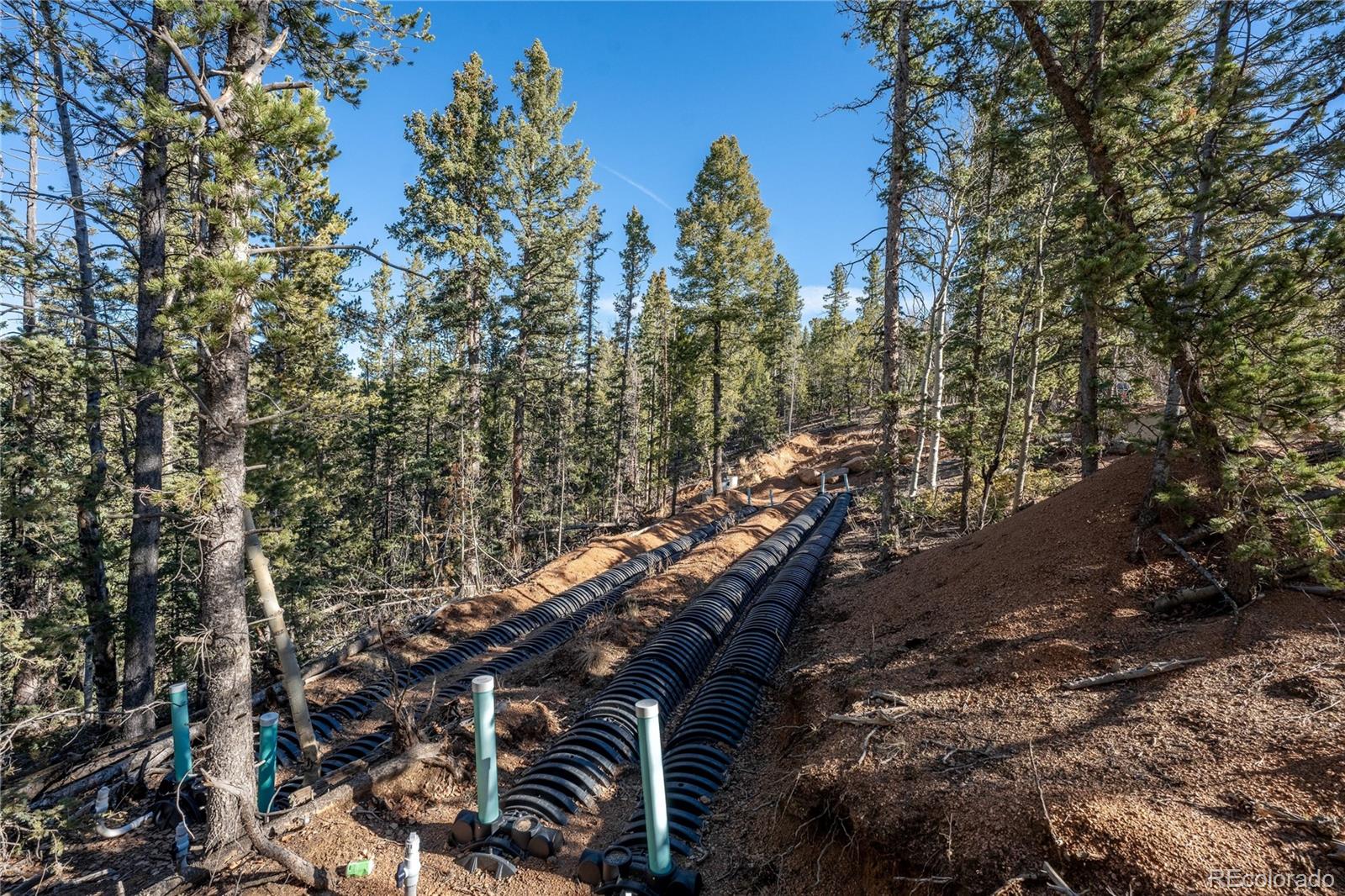 565 Fairview Drive Woodland Park CO 80863