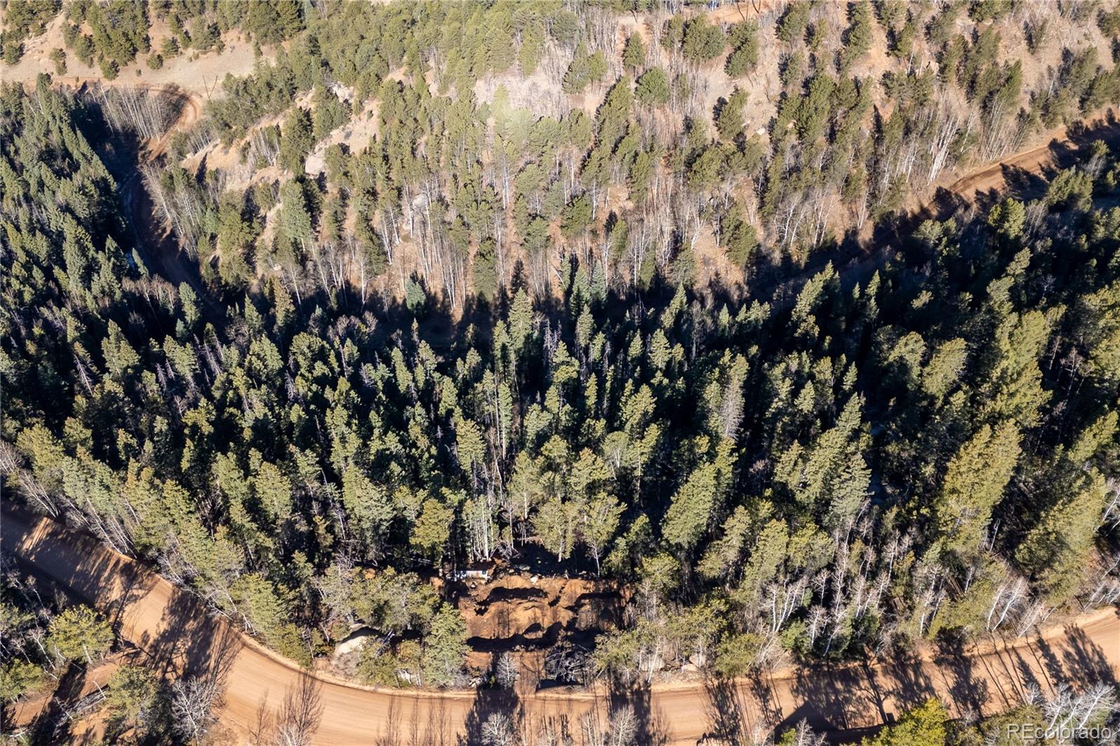 565 Fairview Drive Woodland Park CO 80863
