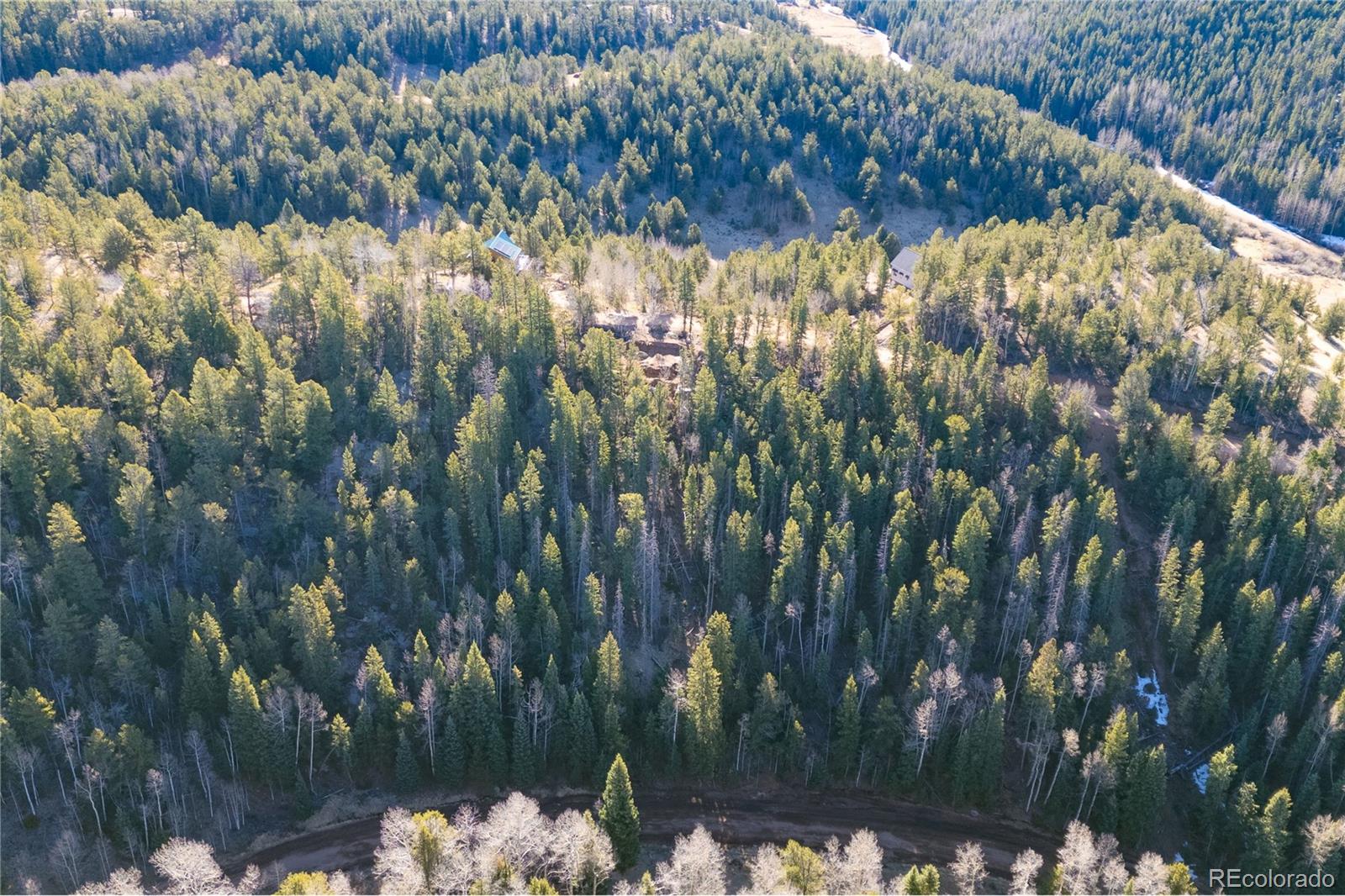 565 Fairview Drive Woodland Park CO 80863