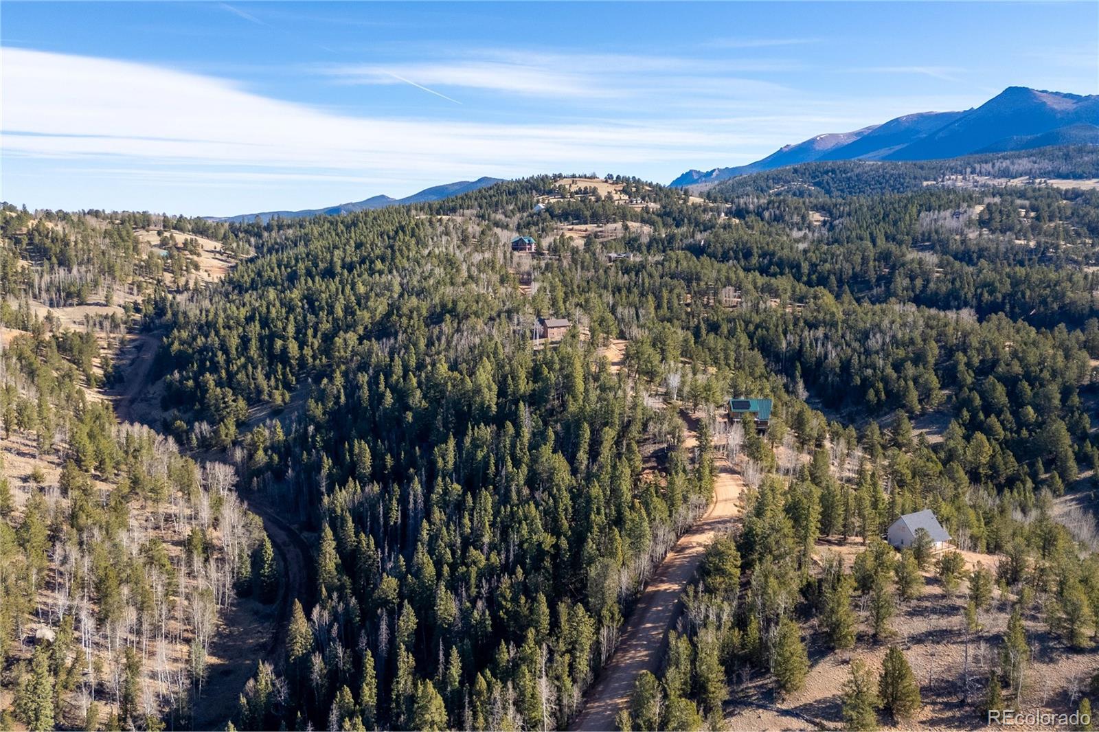 565 Fairview Drive Woodland Park CO 80863