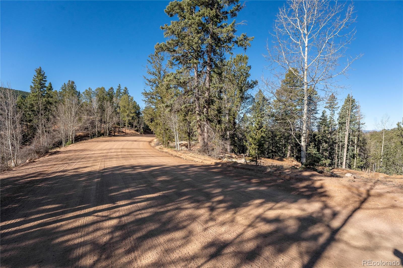 565 Fairview Drive Woodland Park CO 80863