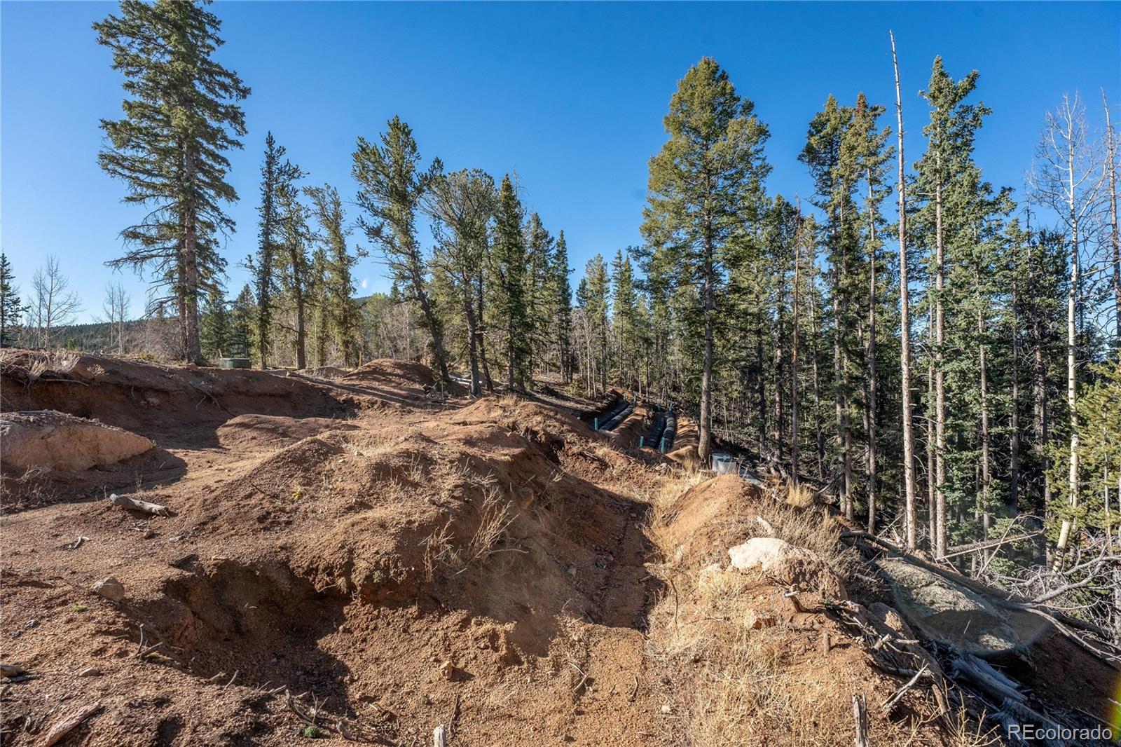 565 Fairview Drive Woodland Park CO 80863