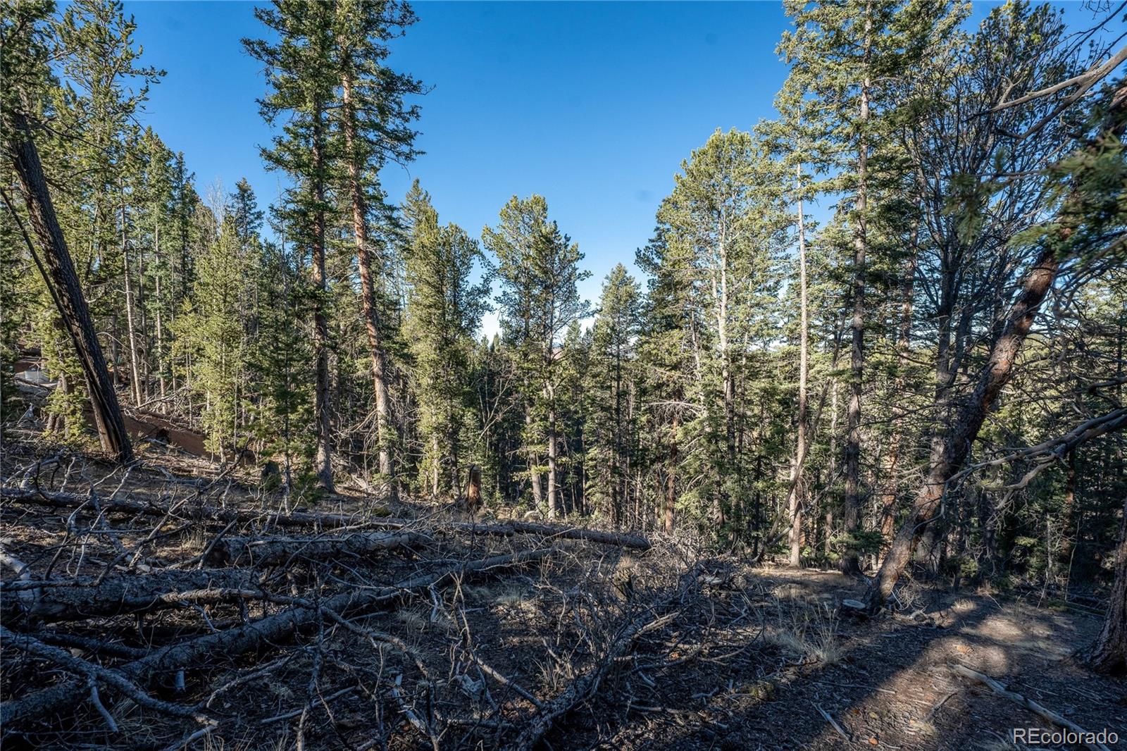 565 Fairview Drive Woodland Park CO 80863