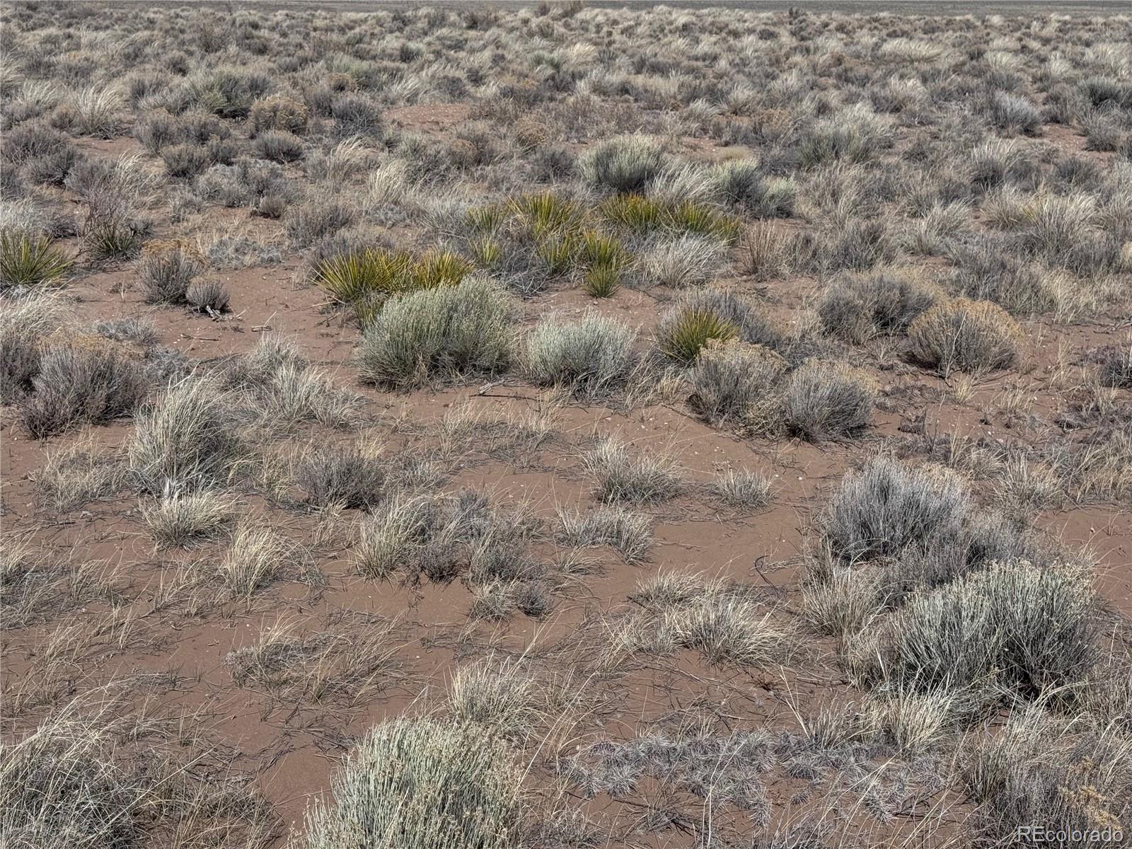 Lot 19 Ana Road San Luis CO 81152