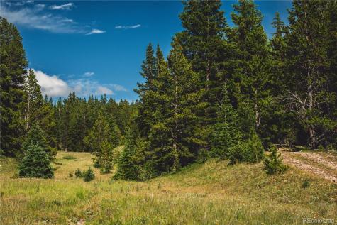 5347 Monitor Leadville CO 80461