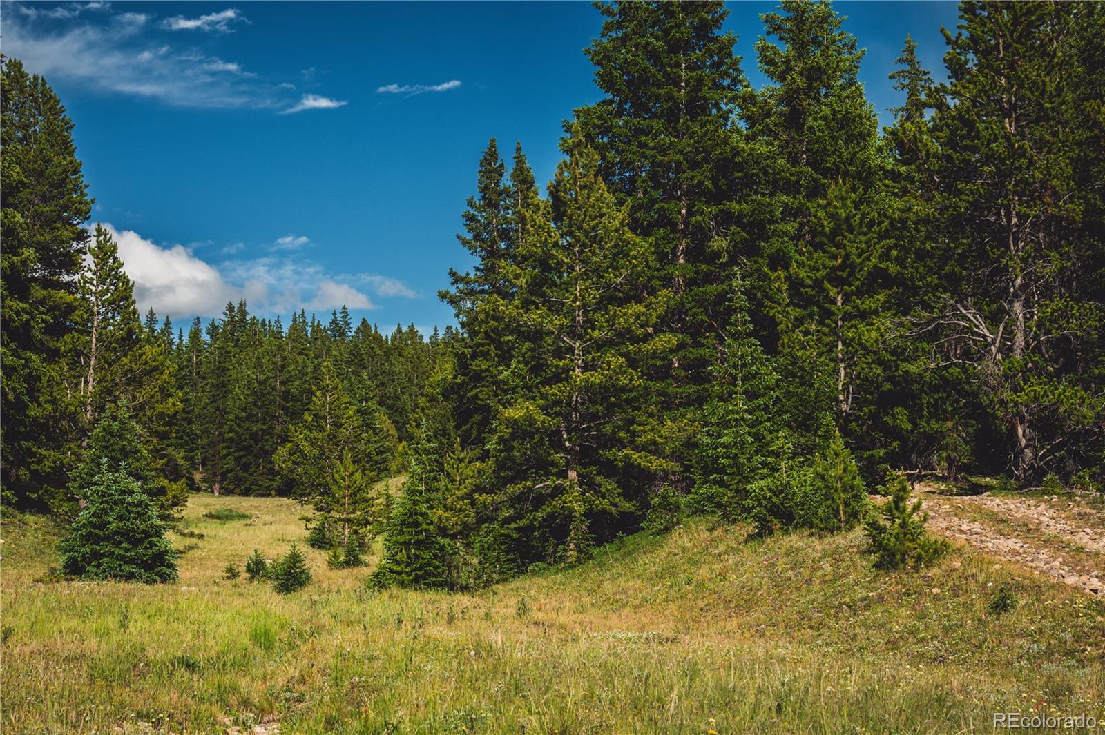 5347 Monitor Leadville CO 80461