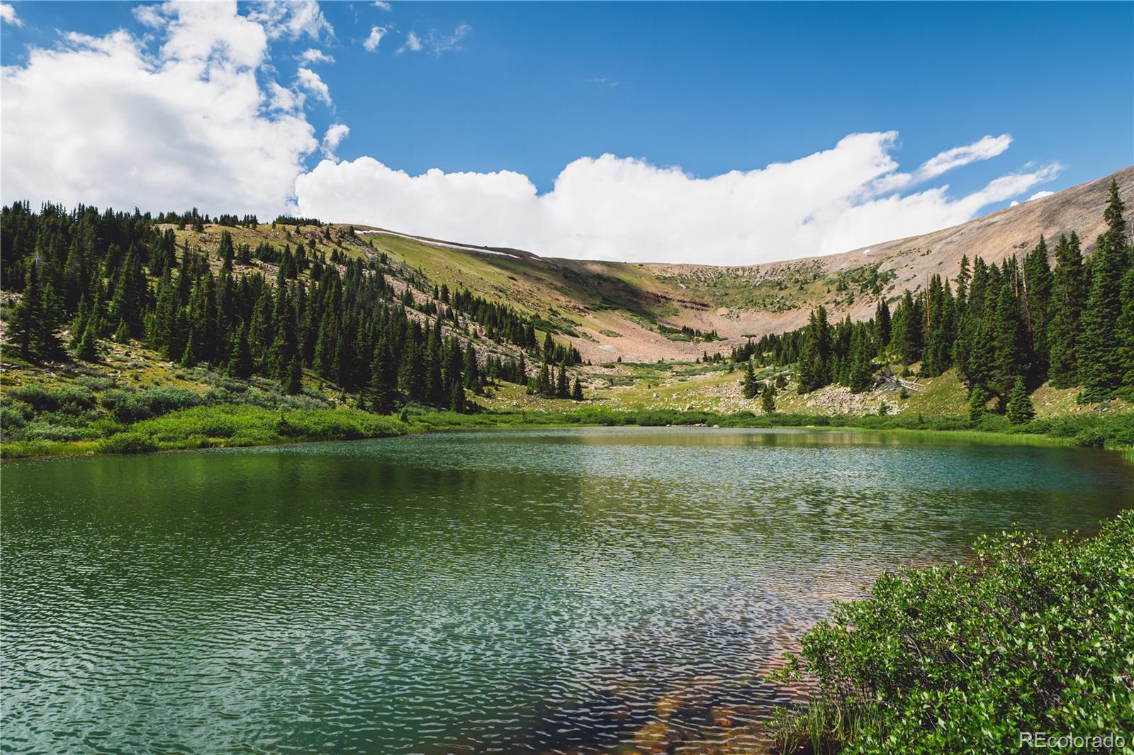 5347 Monitor Leadville CO 80461