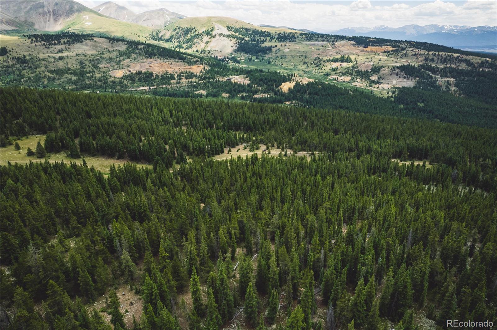 5347 Monitor Leadville CO 80461