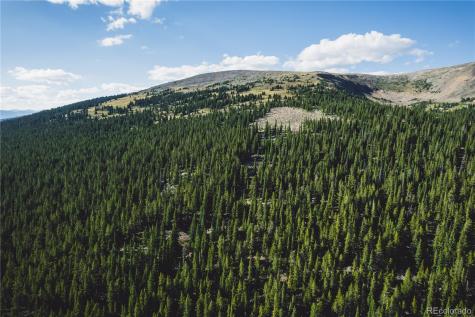 5347 Monitor Leadville CO 80461