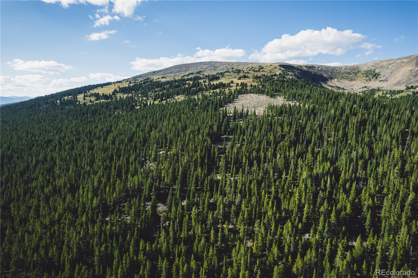 5347 Monitor Leadville CO 80461