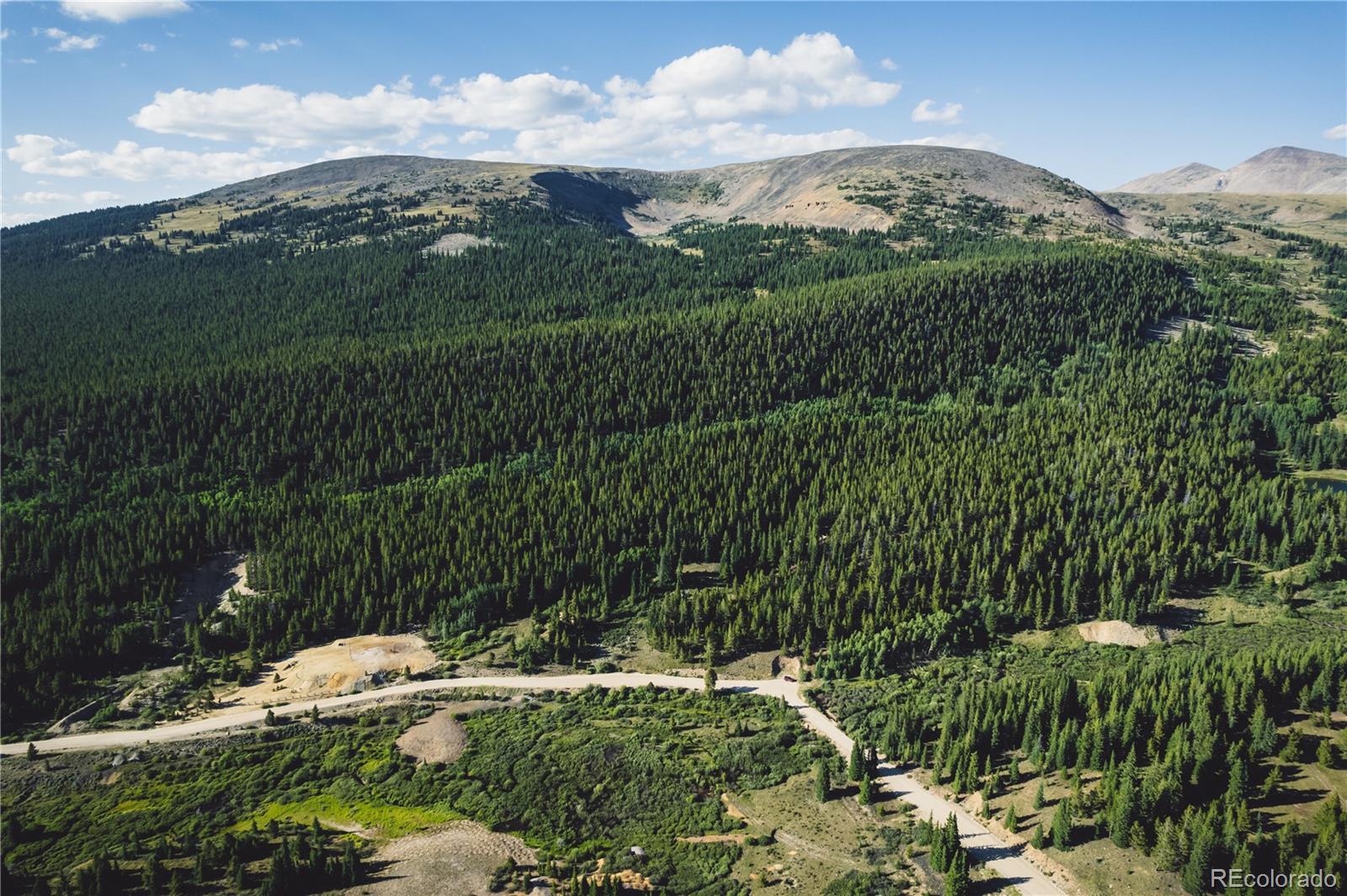 5347 Monitor Leadville CO 80461