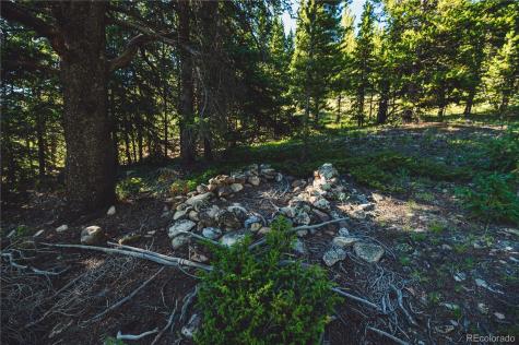 5347 Monitor Leadville CO 80461