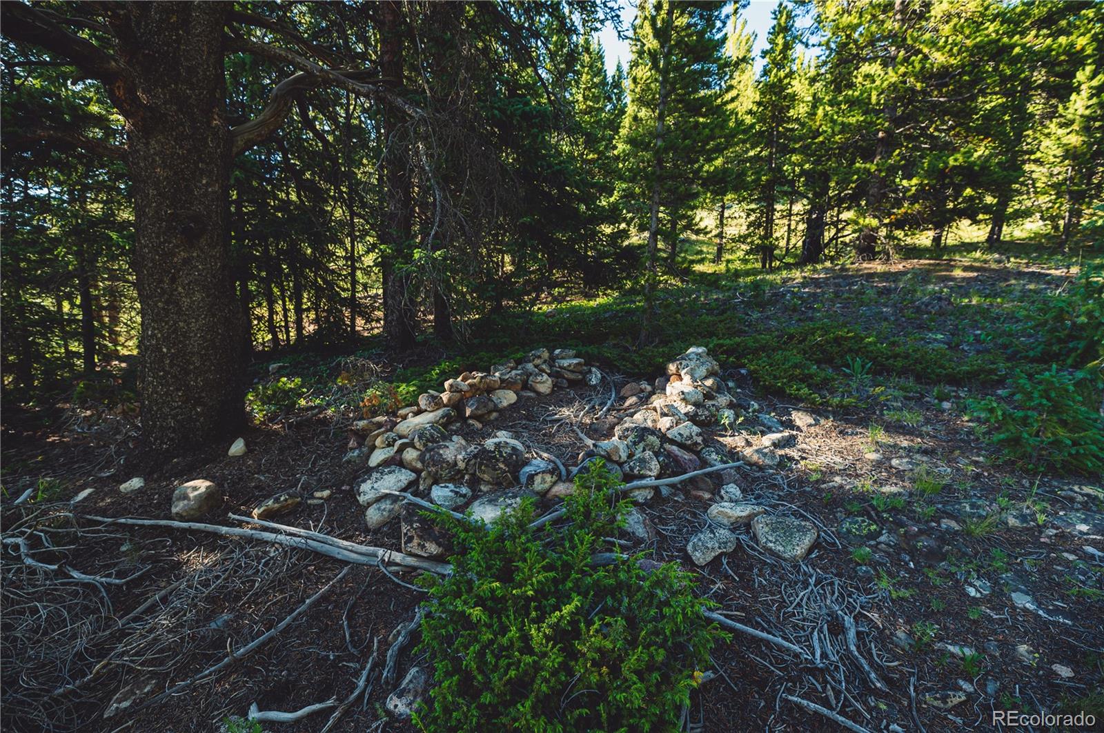 5347 Monitor Leadville CO 80461
