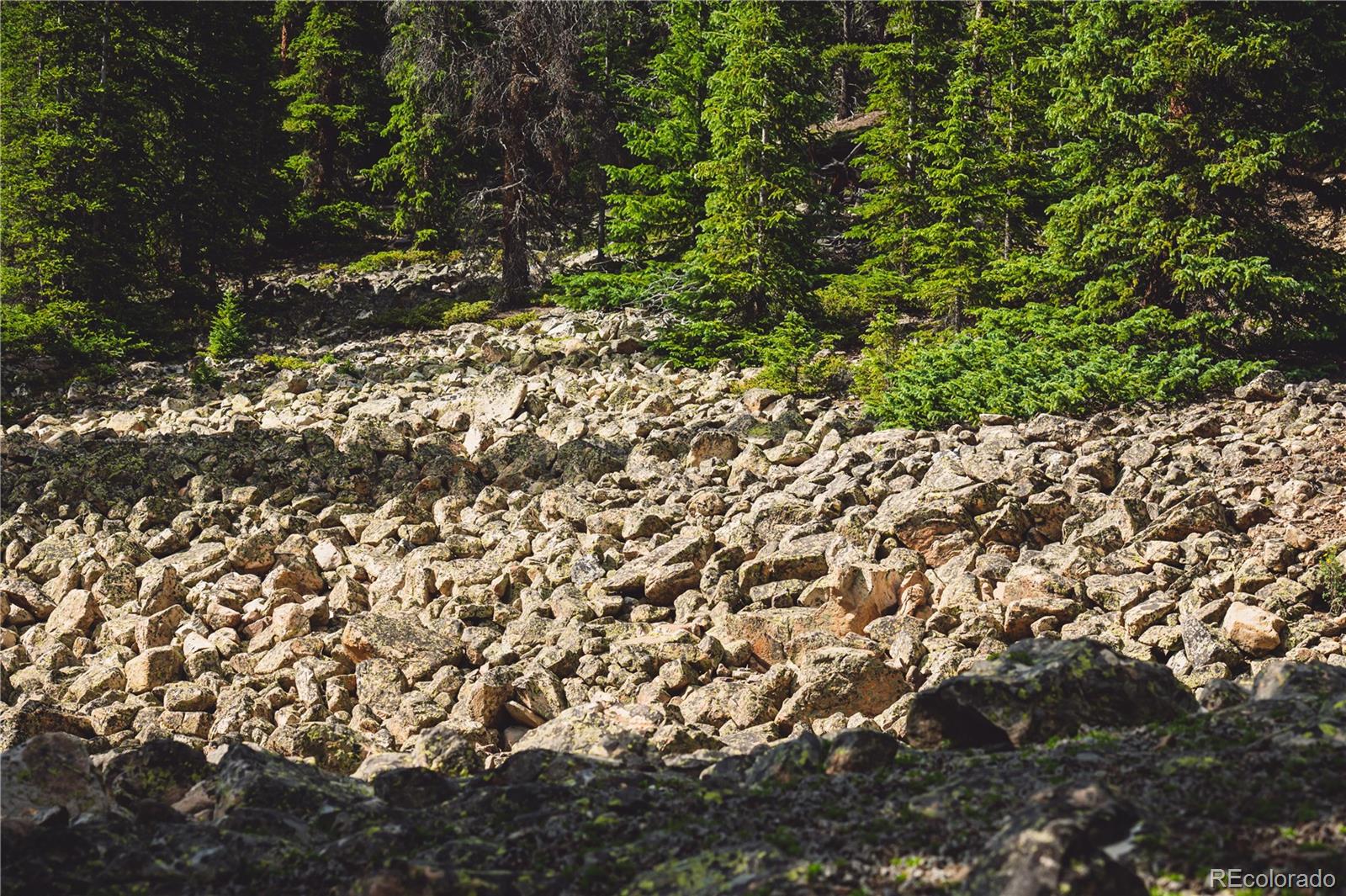 5347 Monitor Leadville CO 80461