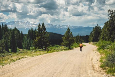 5347 Monitor Leadville CO 80461