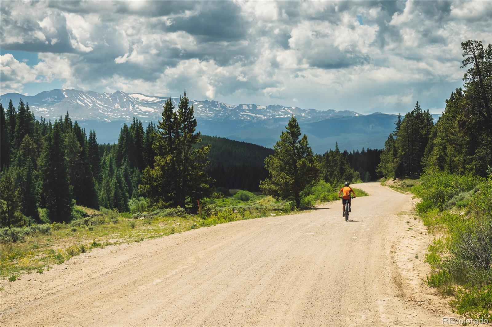 5347 Monitor Leadville CO 80461
