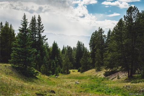 5347 Monitor Leadville CO 80461
