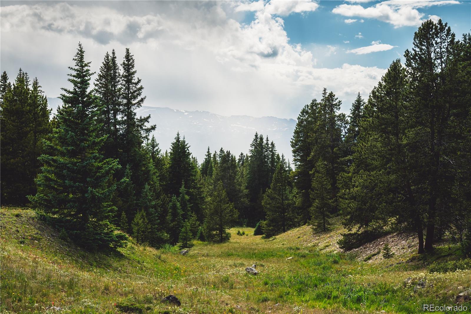 5347 Monitor Leadville CO 80461