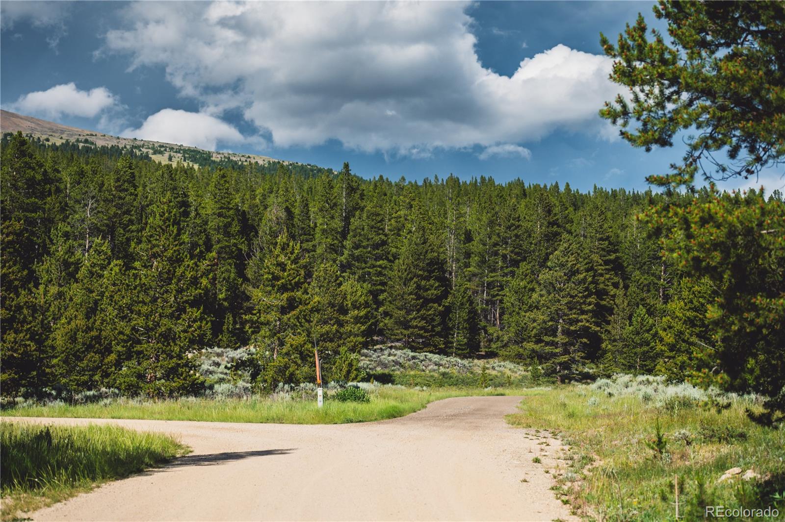 5347 Monitor Leadville CO 80461