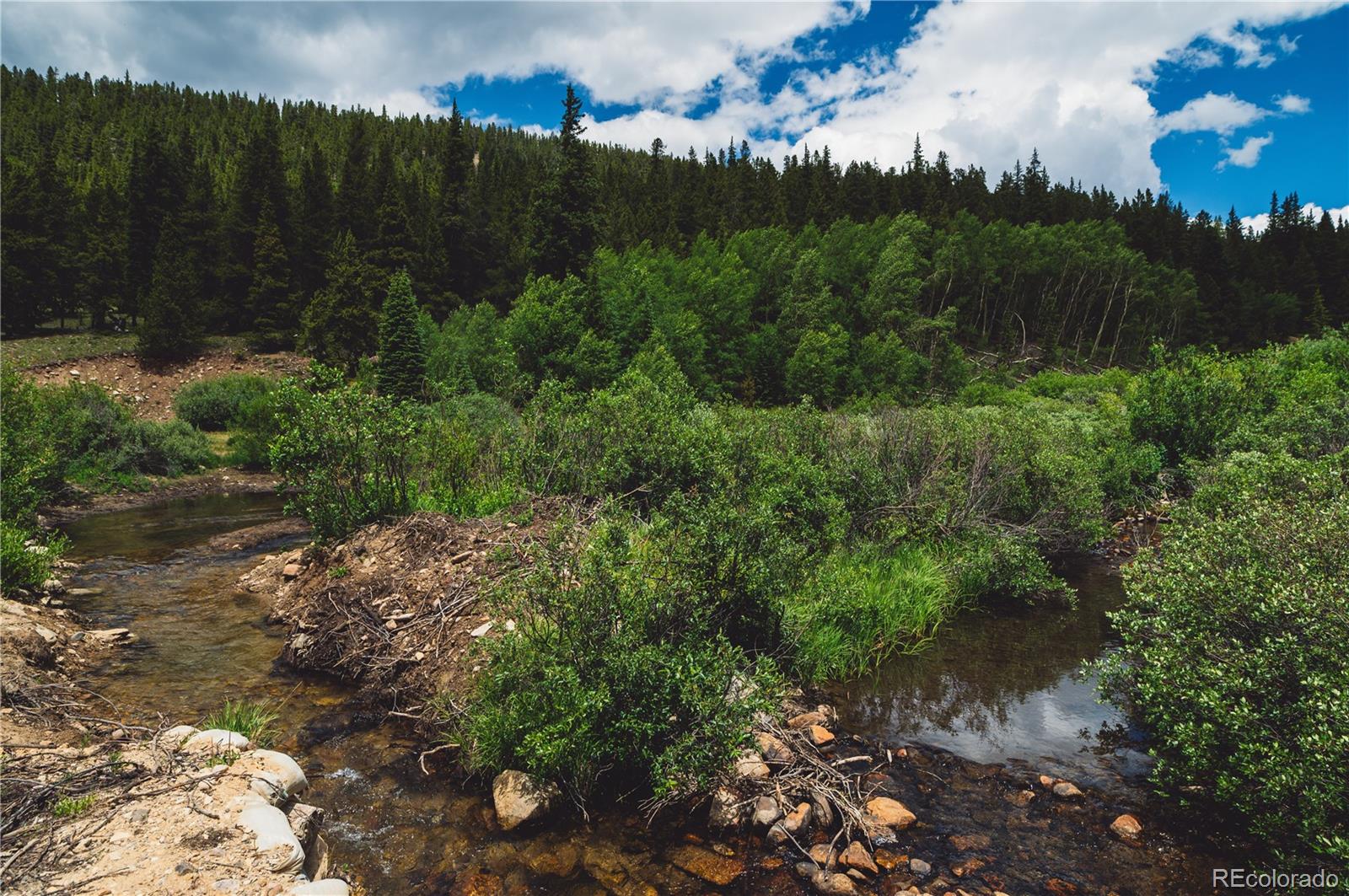 5347 Monitor Leadville CO 80461