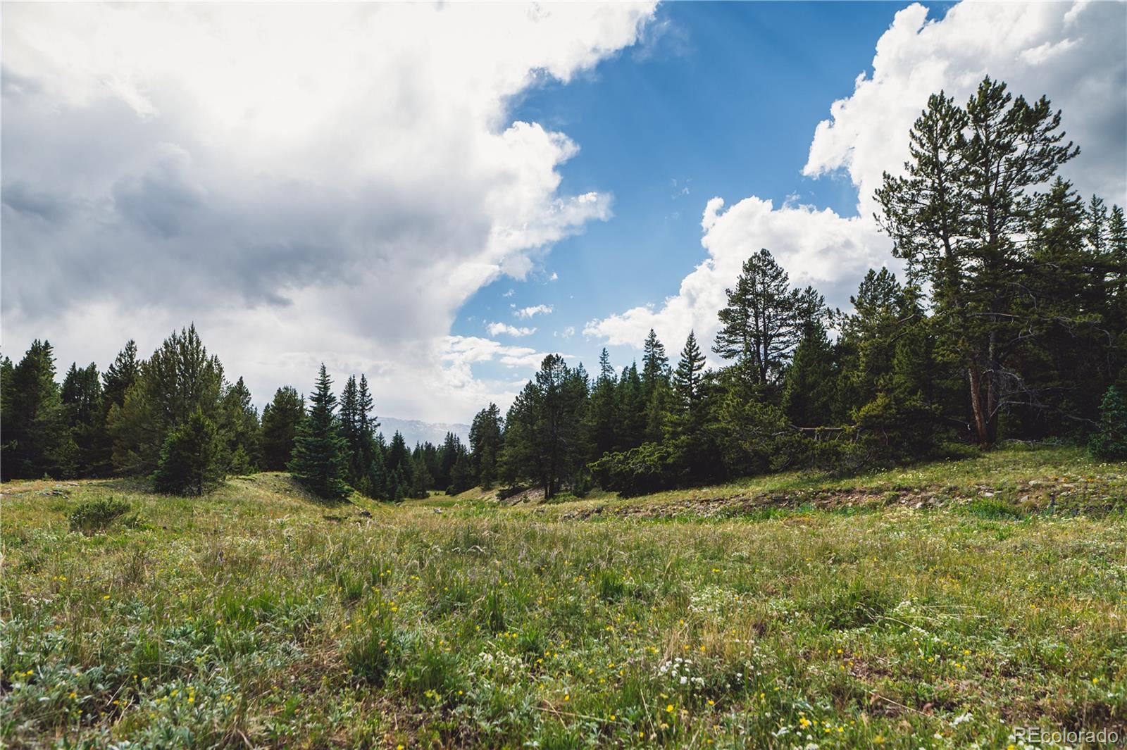 5347 Monitor Leadville CO 80461