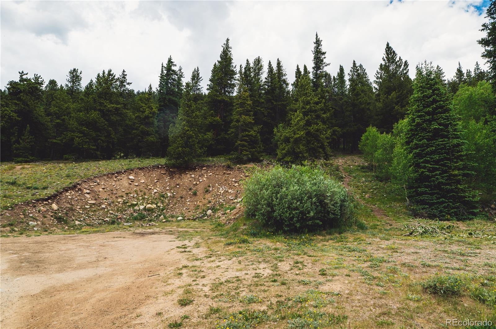 5347 Monitor Leadville CO 80461