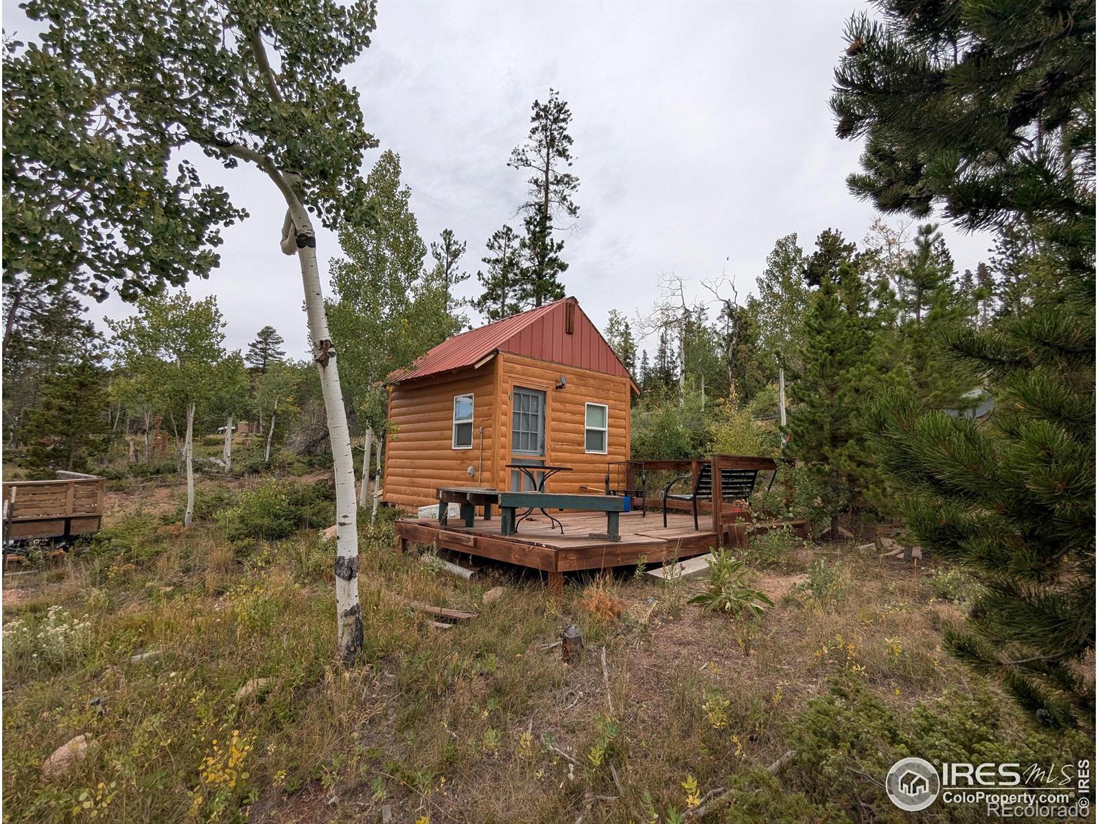 37 N Oneida Court Red Feather Lakes CO 80545