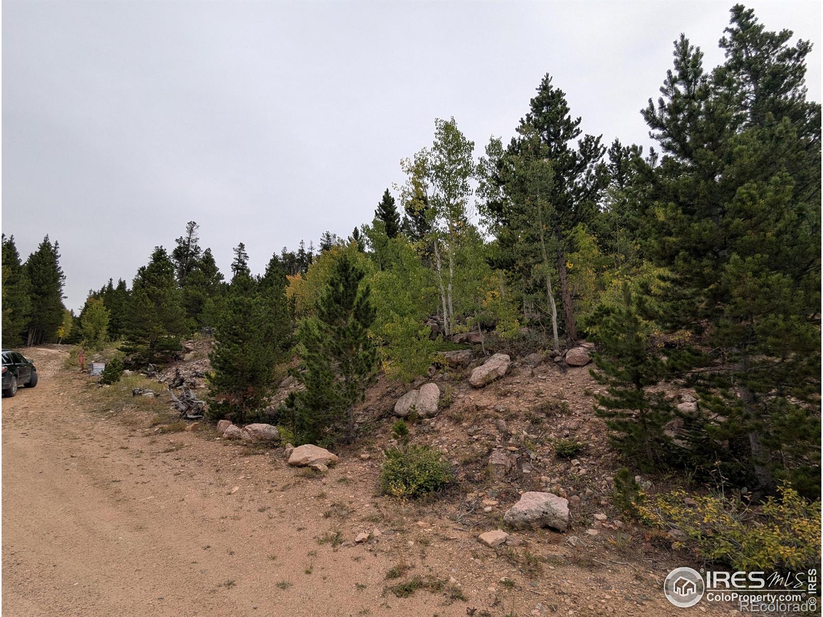 37 N Oneida Court Red Feather Lakes CO 80545