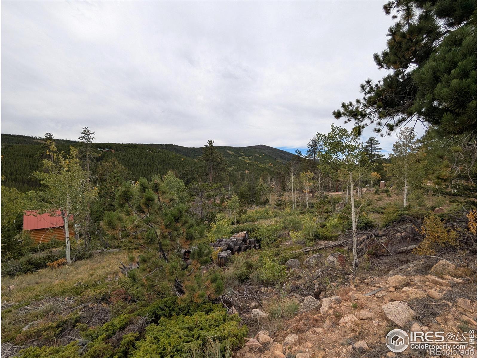 37 N Oneida Court Red Feather Lakes CO 80545