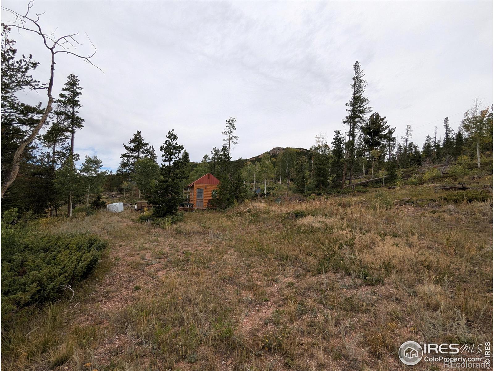 37 N Oneida Court Red Feather Lakes CO 80545