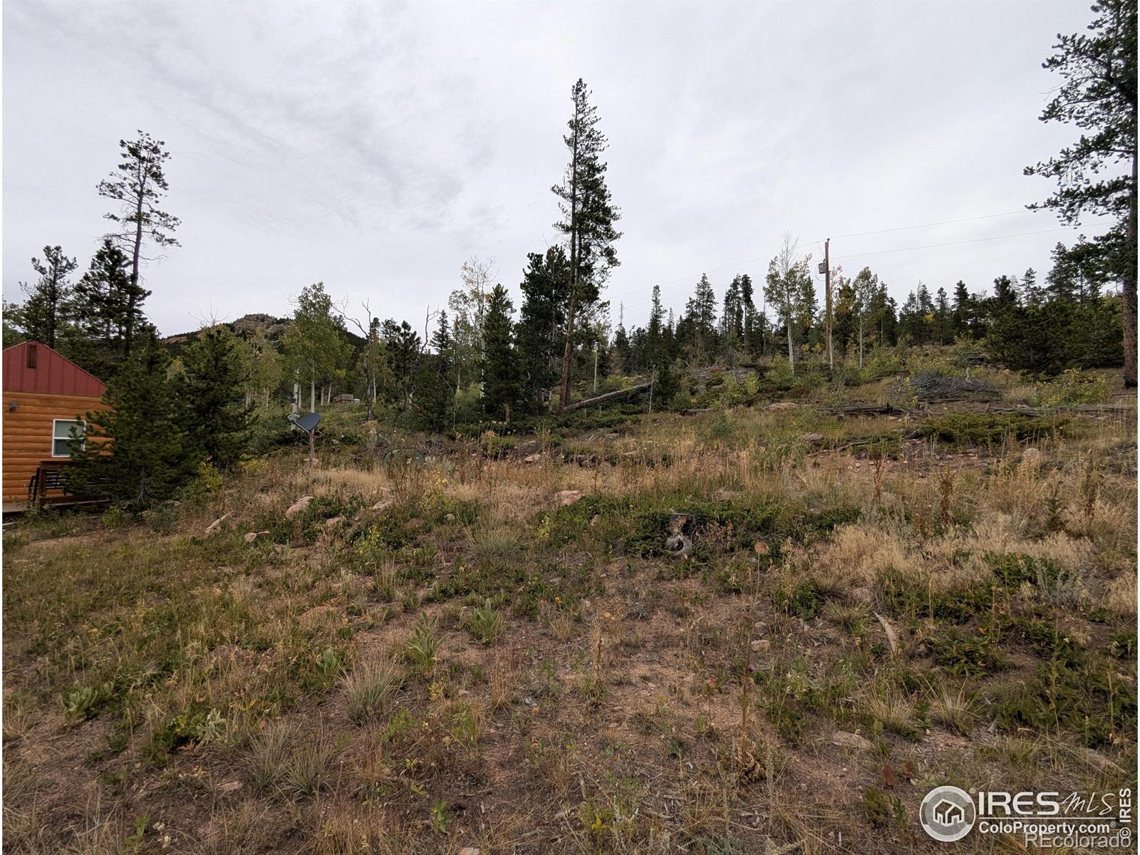 37 N Oneida Court Red Feather Lakes CO 80545