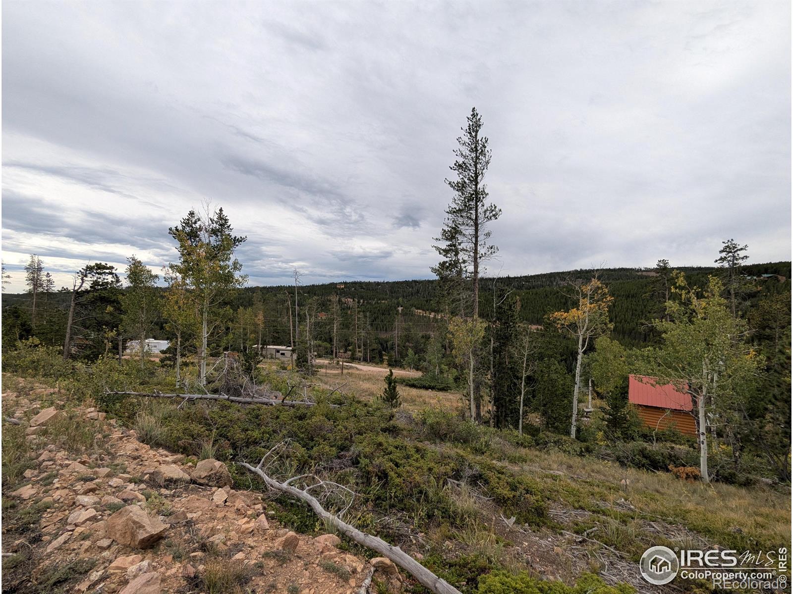 37 N Oneida Court Red Feather Lakes CO 80545