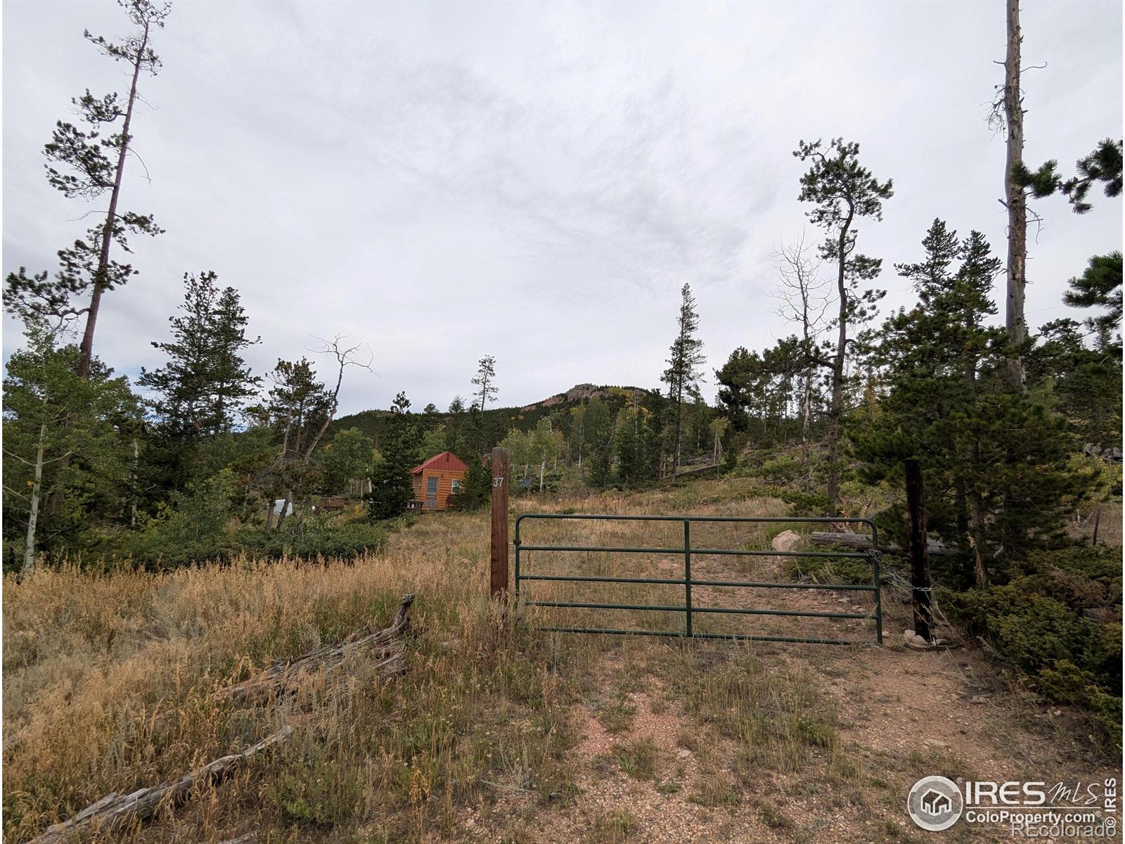 37 N Oneida Court Red Feather Lakes CO 80545