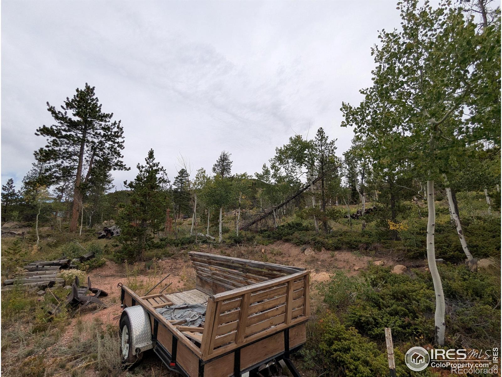 37 N Oneida Court Red Feather Lakes CO 80545