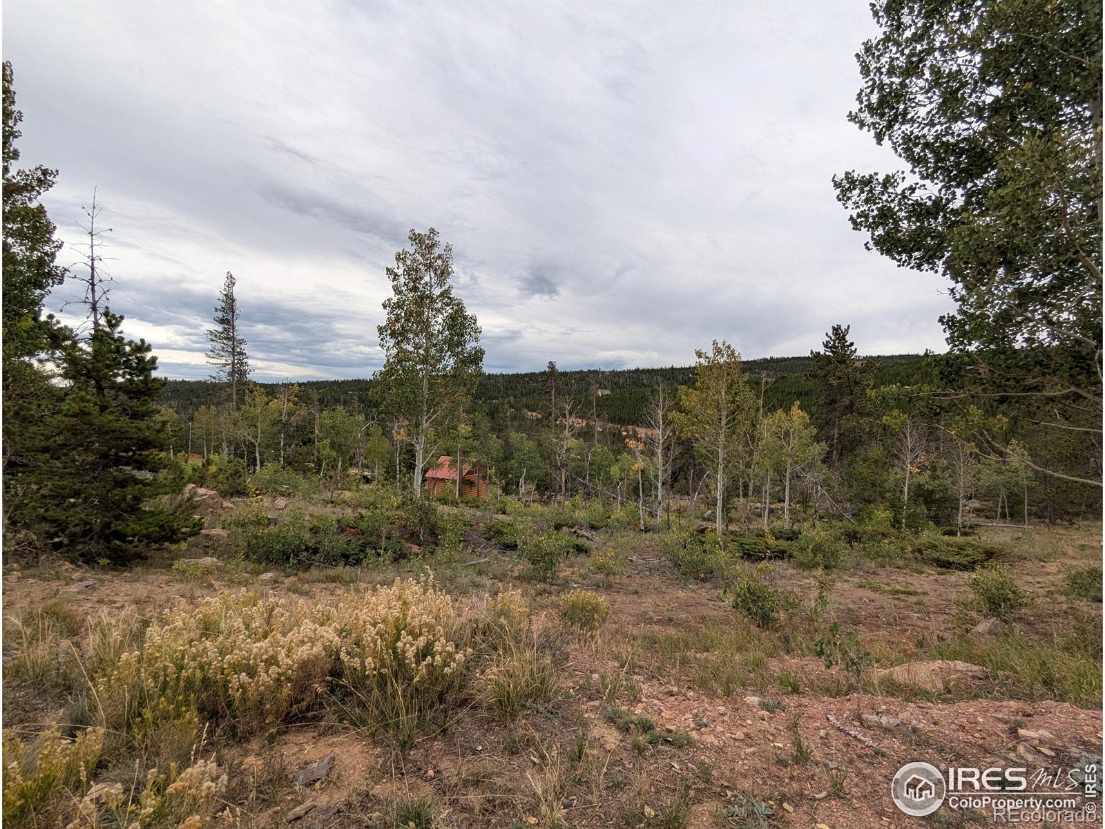 37 N Oneida Court Red Feather Lakes CO 80545