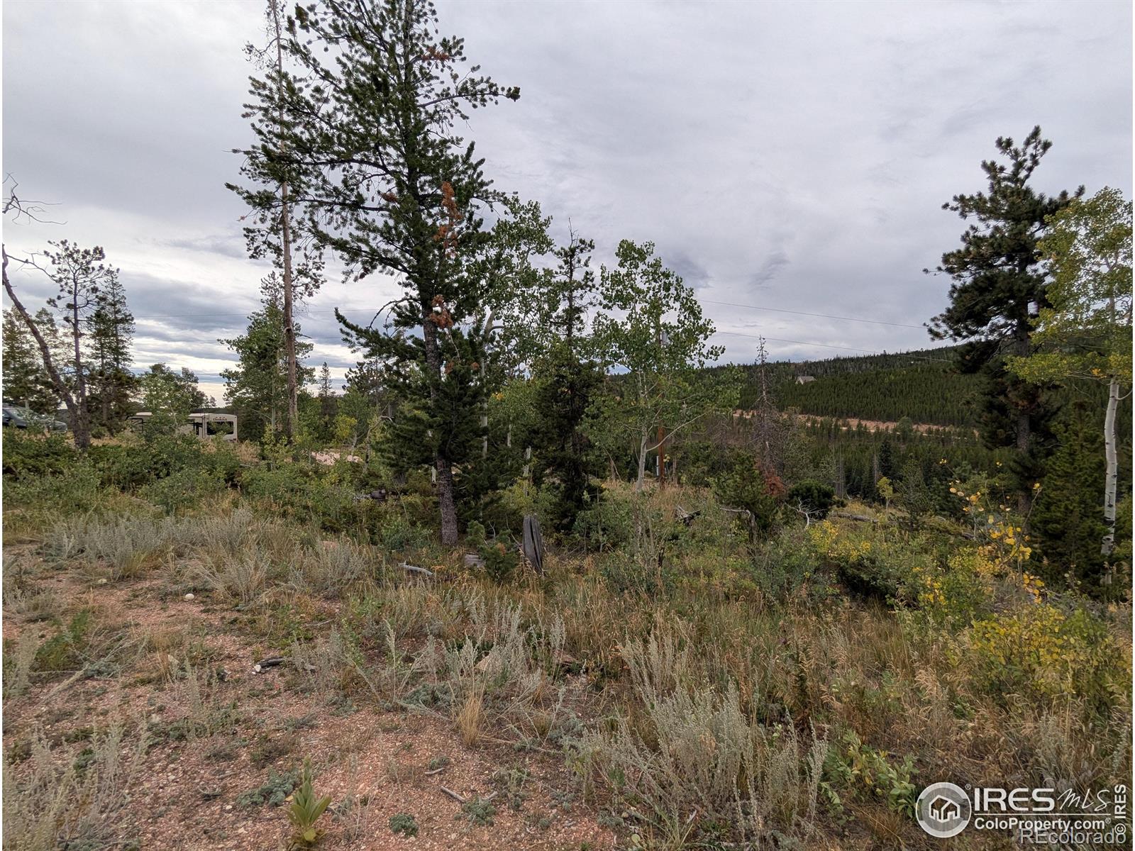 37 N Oneida Court Red Feather Lakes CO 80545