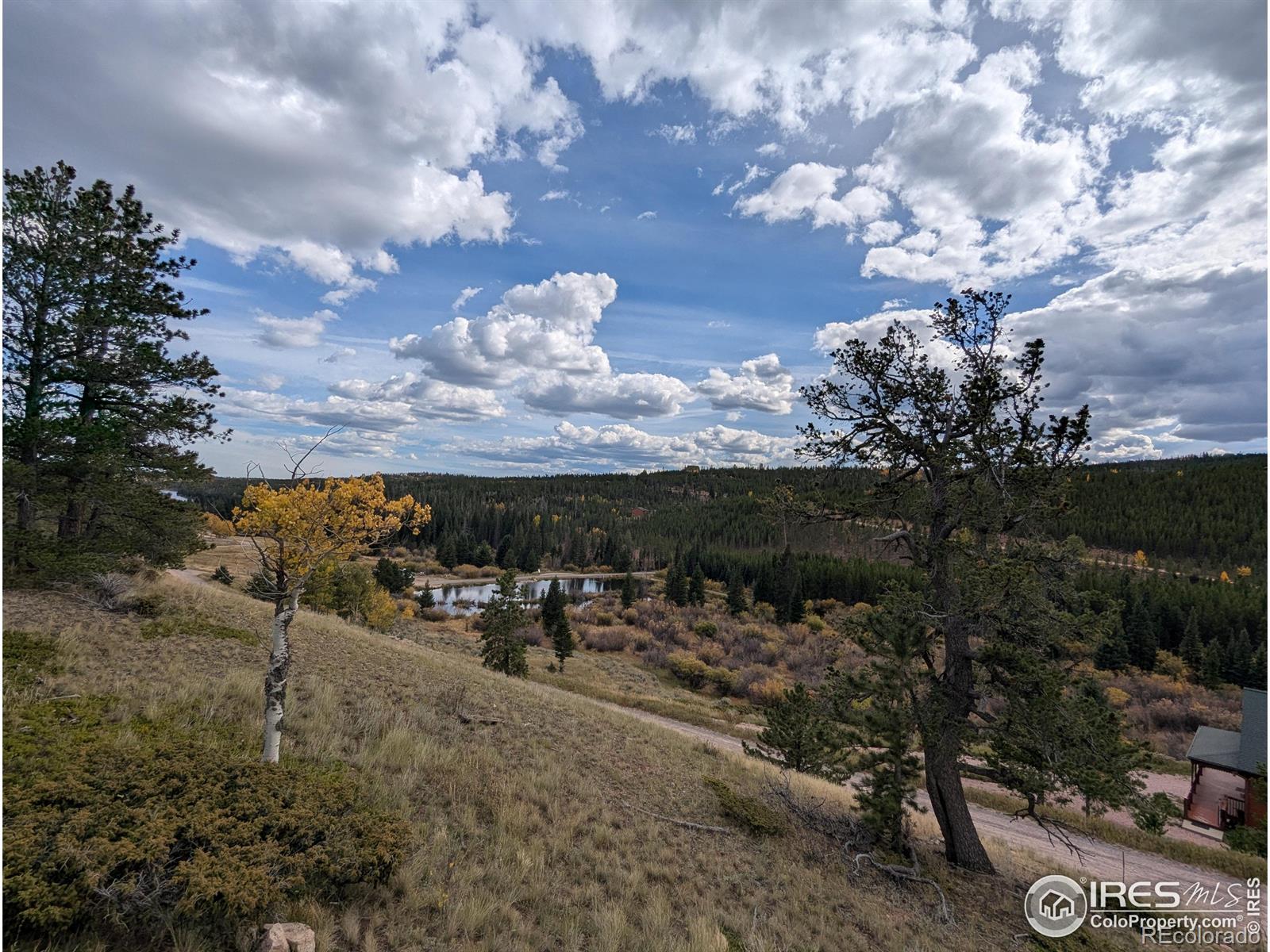 37 N Oneida Court Red Feather Lakes CO 80545