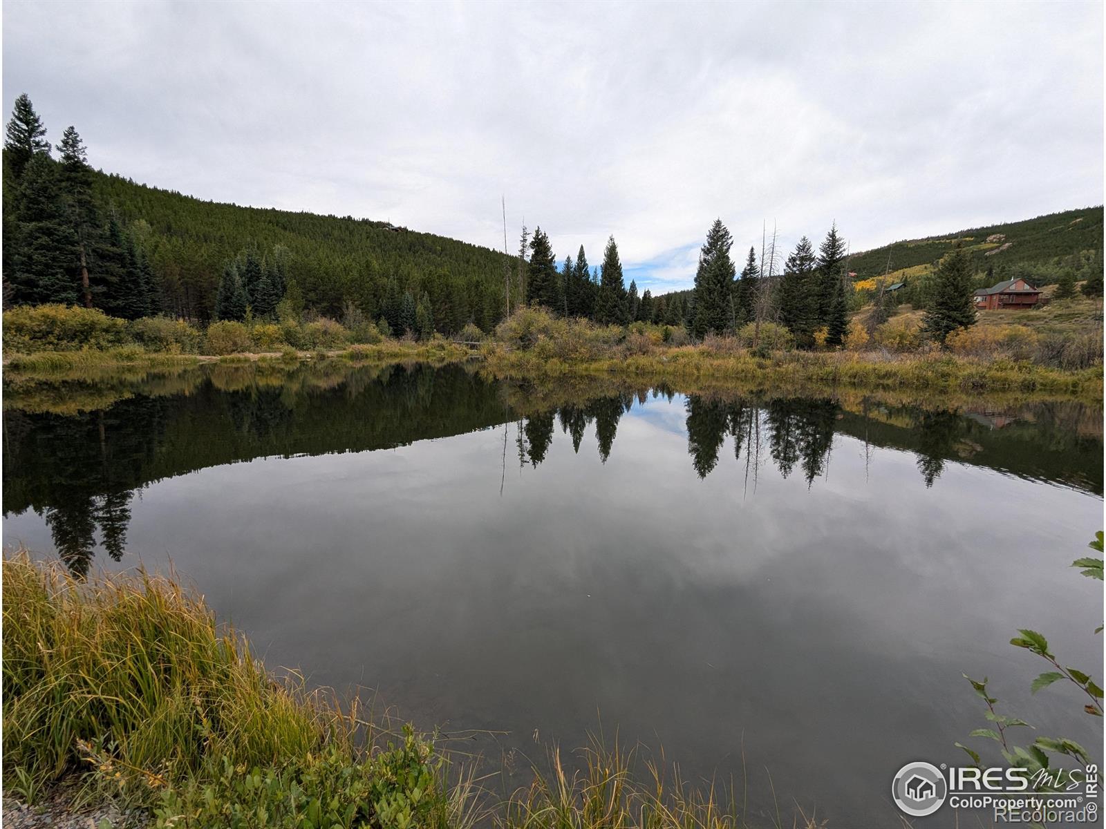37 N Oneida Court Red Feather Lakes CO 80545
